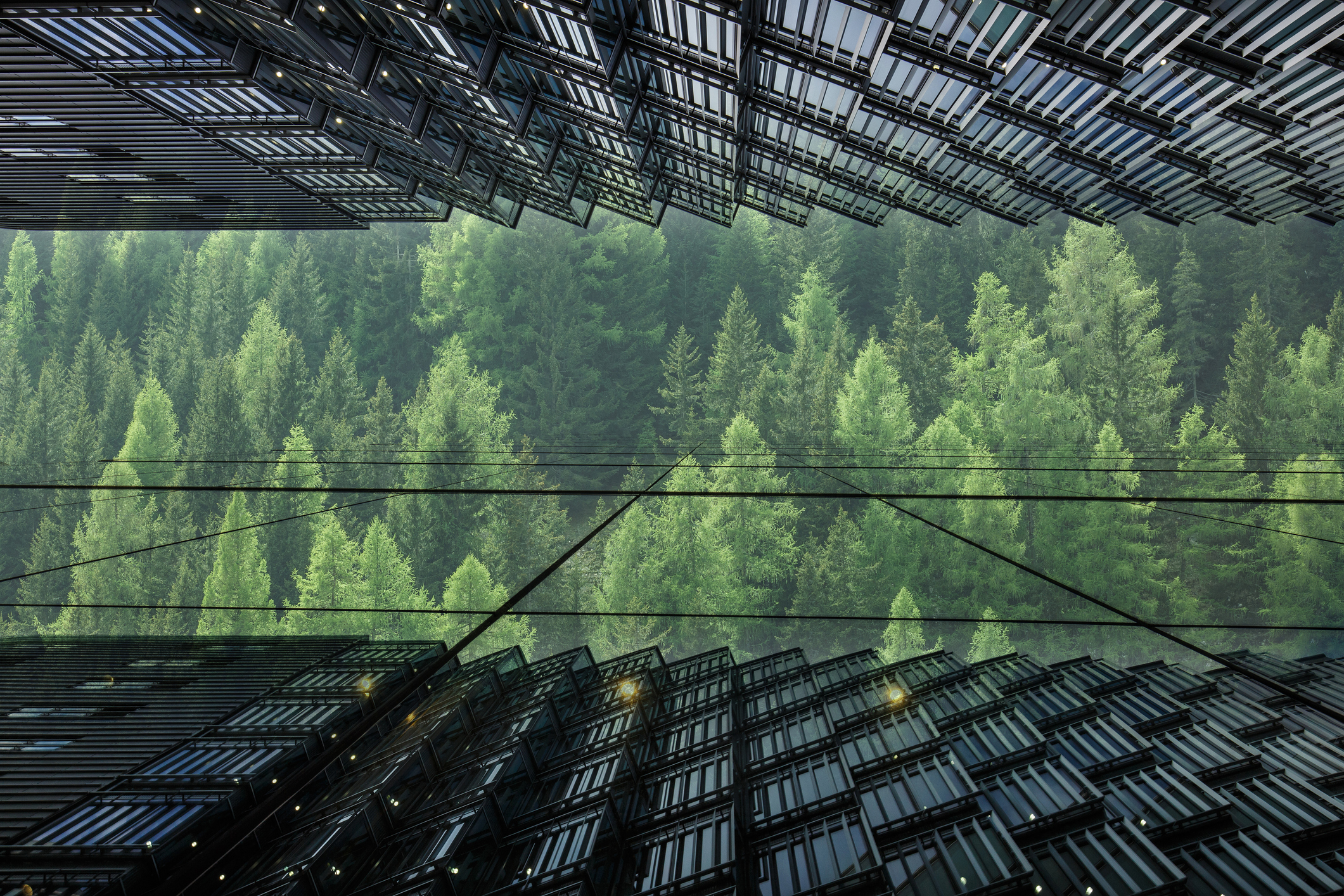 Green solar window concept with the forest in the city.