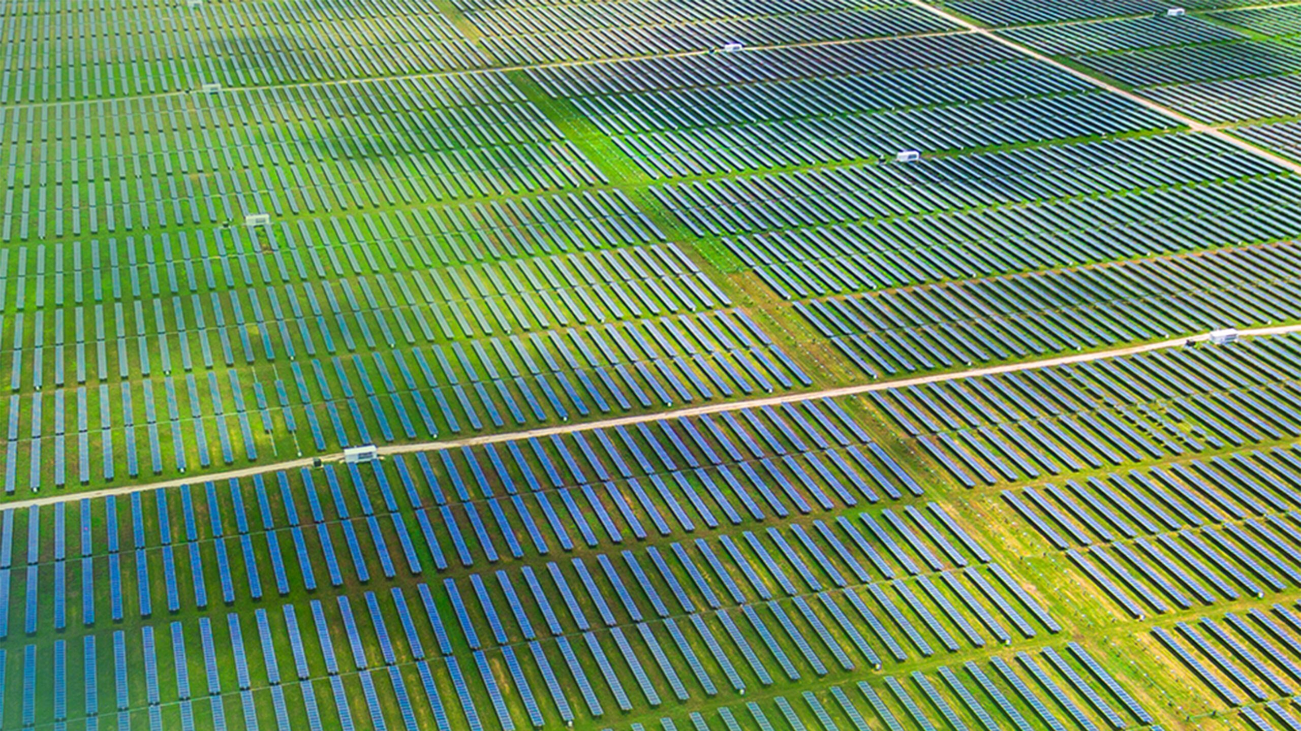 Aerial view of solar cell field.