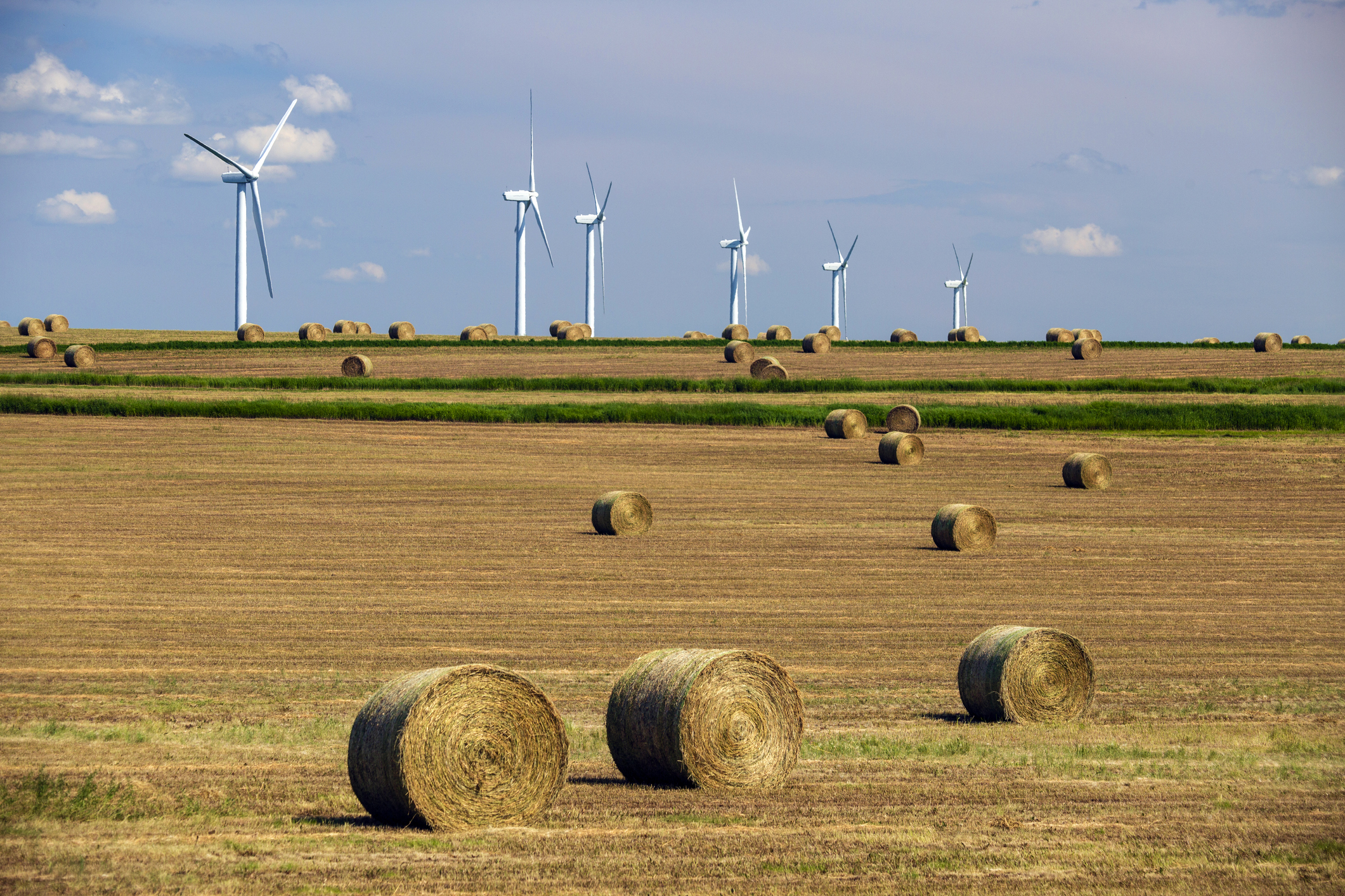 Onshore wind farm on the Canadian Prairies.