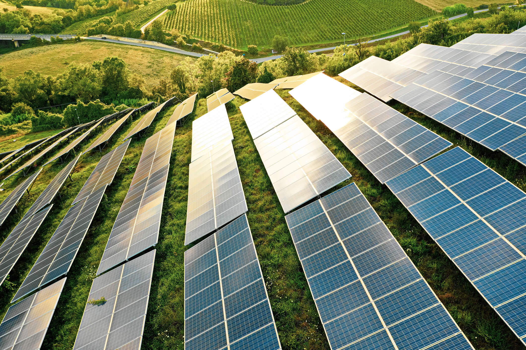 Solar panels installed on a rolling green landscape.