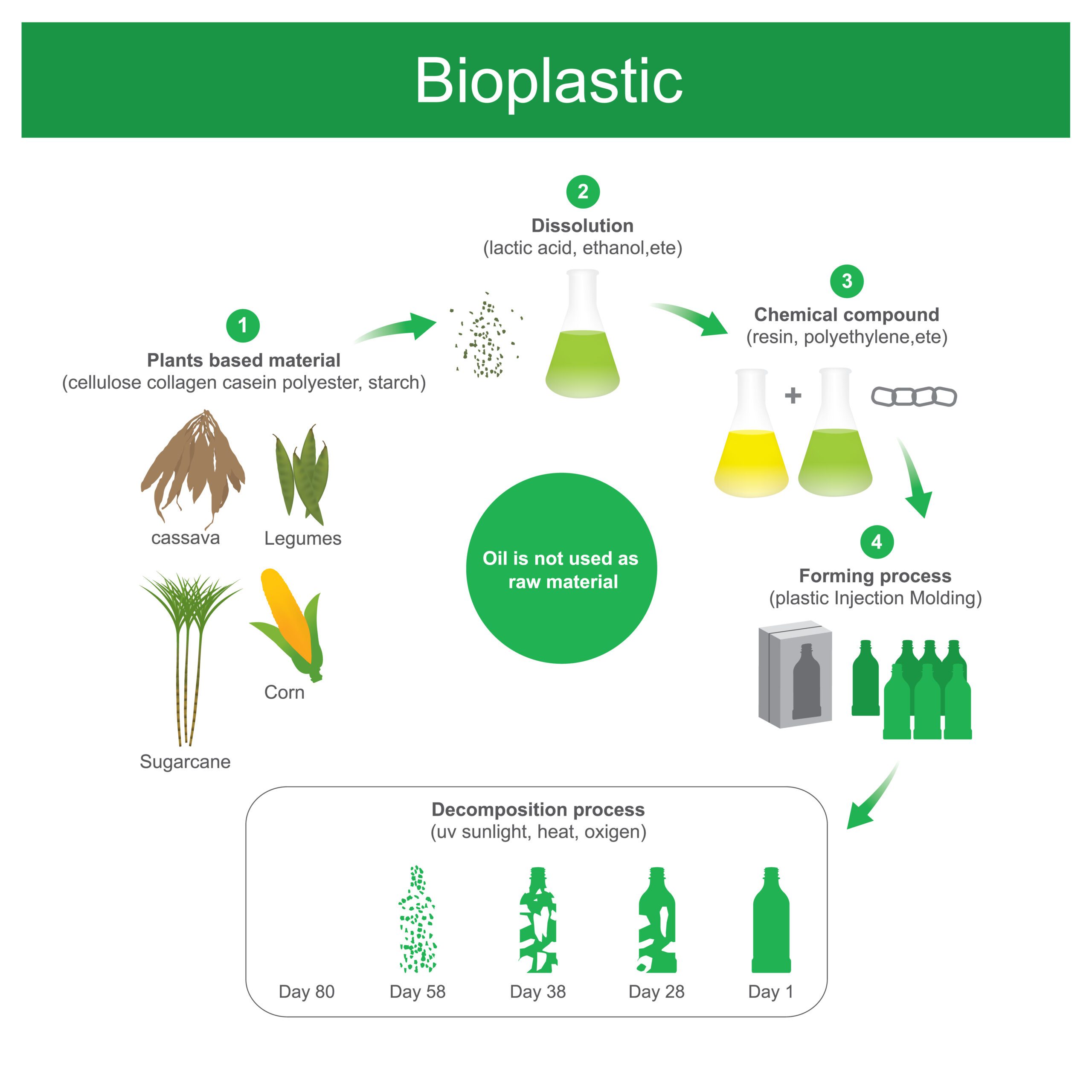 An infographic showing the process of making plant material into bioplastic.