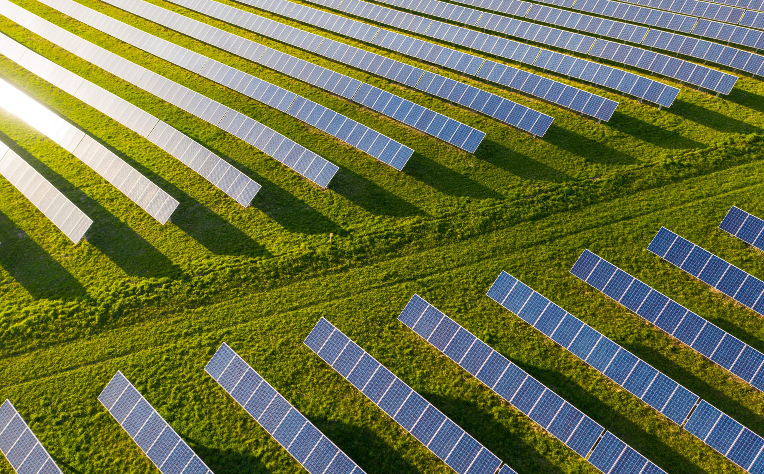 Rows of solar panels on a green field.
