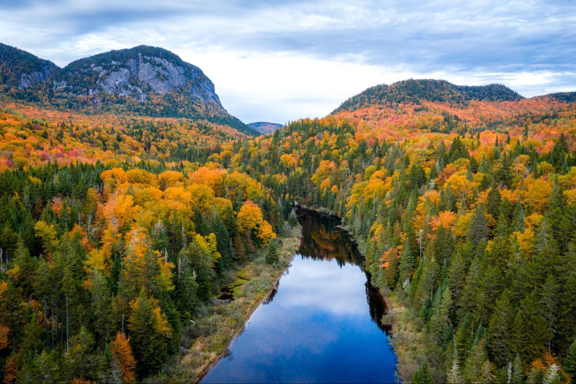 Canada's boreal forest during the autumn season